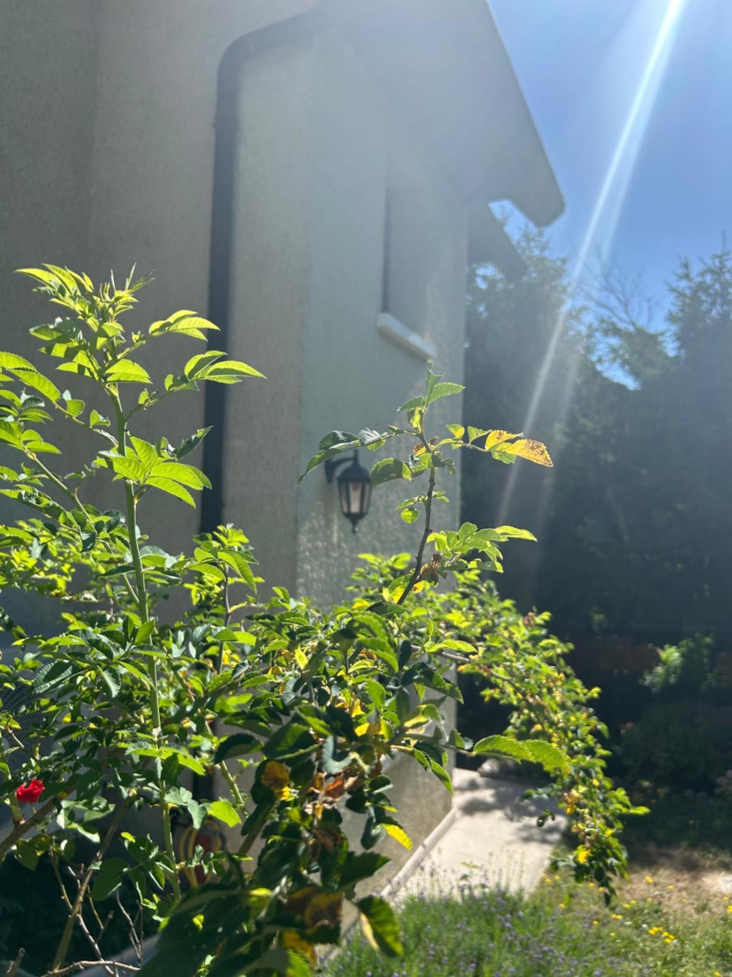 3 A Dans Maison Pour 2 A 8 Personnes Apartment Annecy